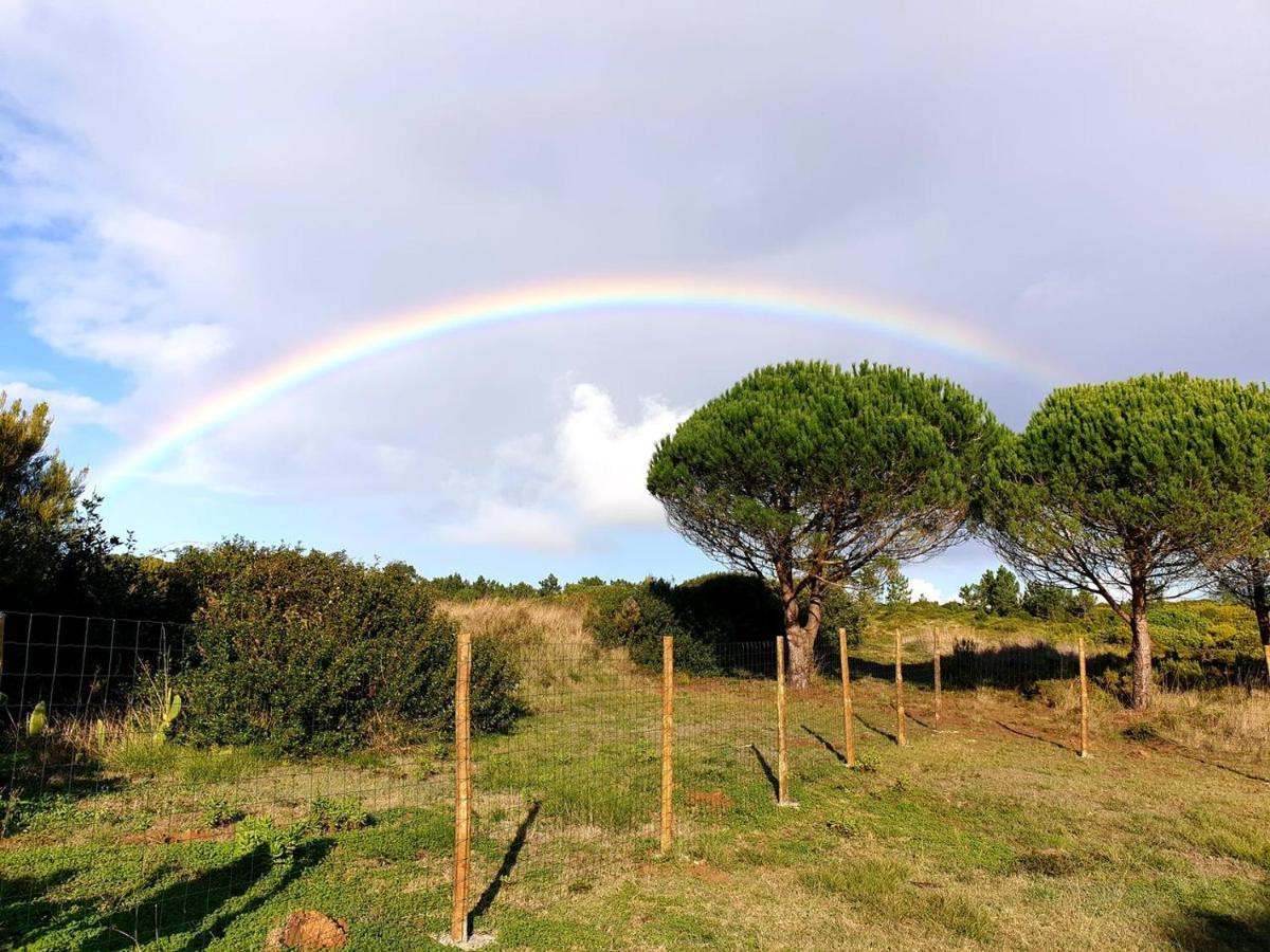Sondela Self Catering Villa São Martinho do Porto Eksteriør billede