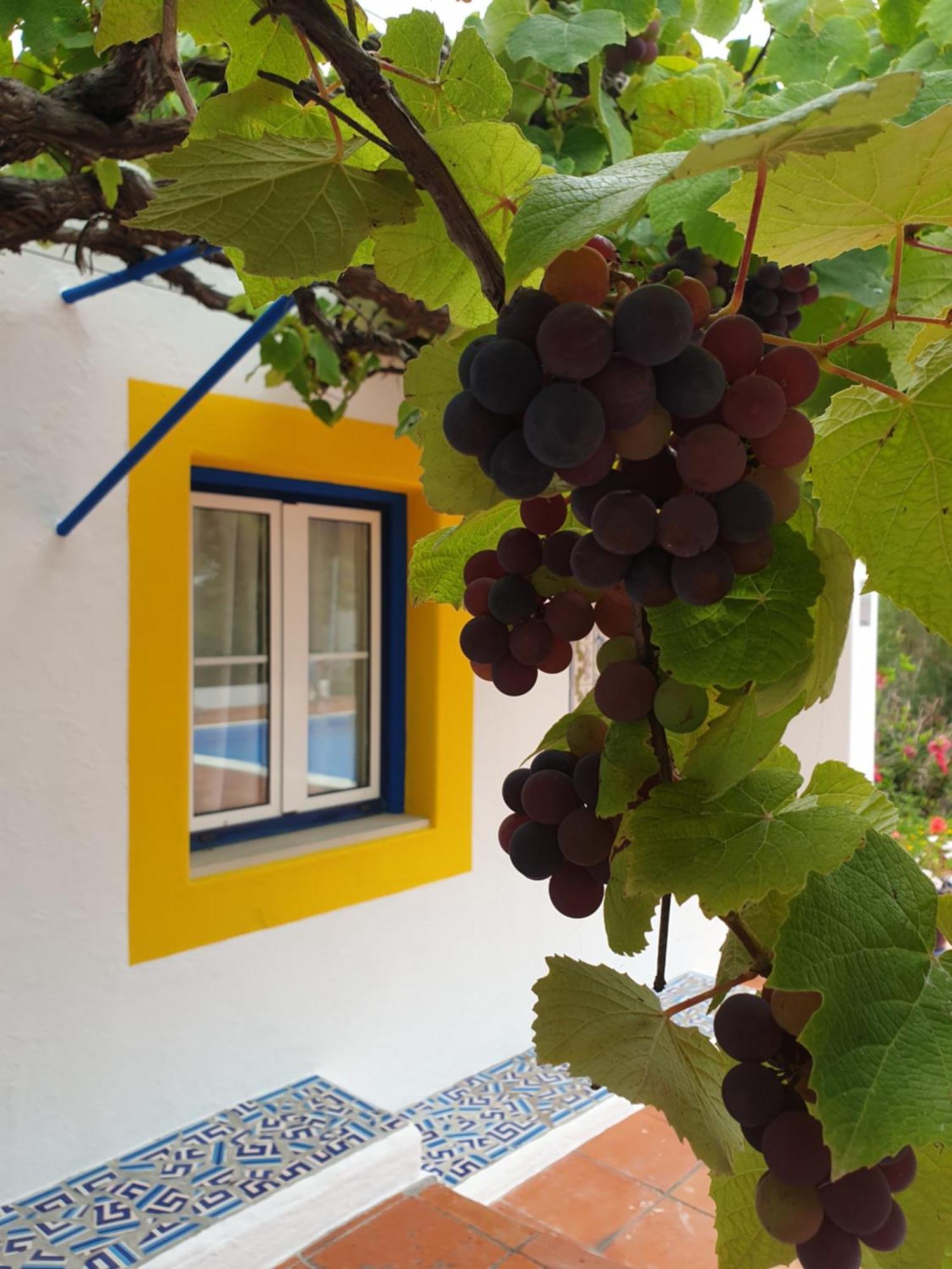 Sondela Self Catering Villa São Martinho do Porto Eksteriør billede