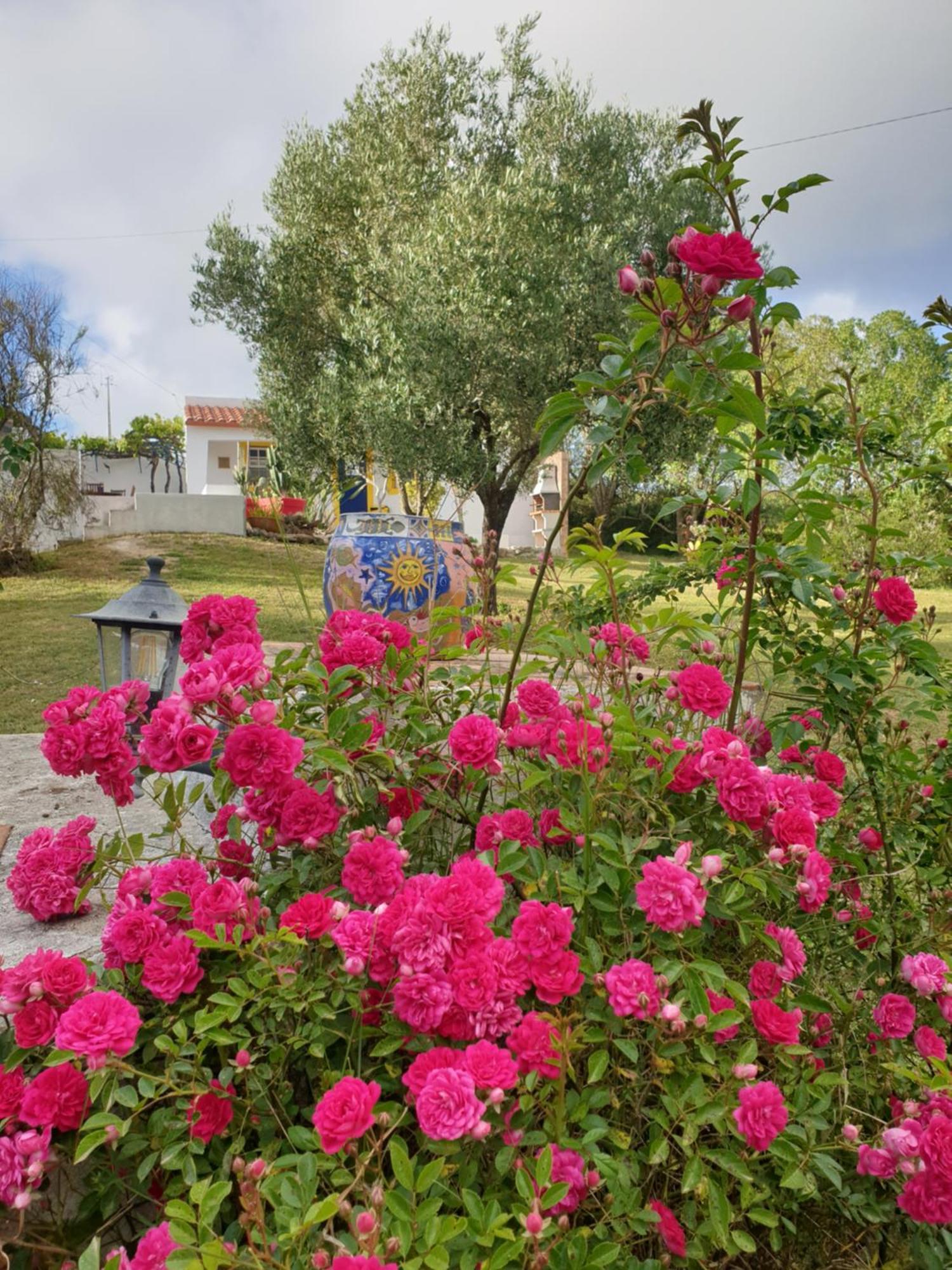 Sondela Self Catering Villa São Martinho do Porto Eksteriør billede