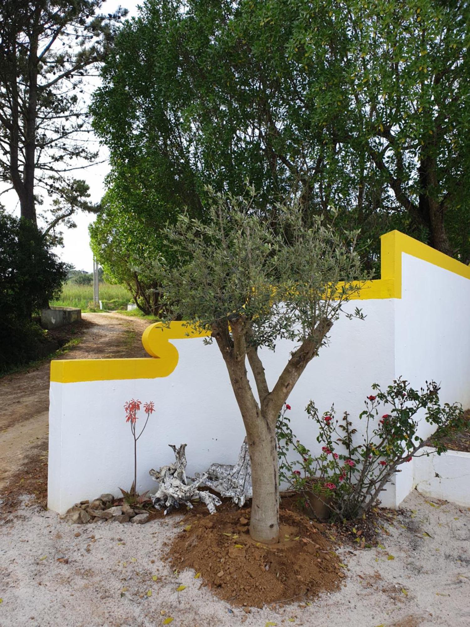 Sondela Self Catering Villa São Martinho do Porto Eksteriør billede