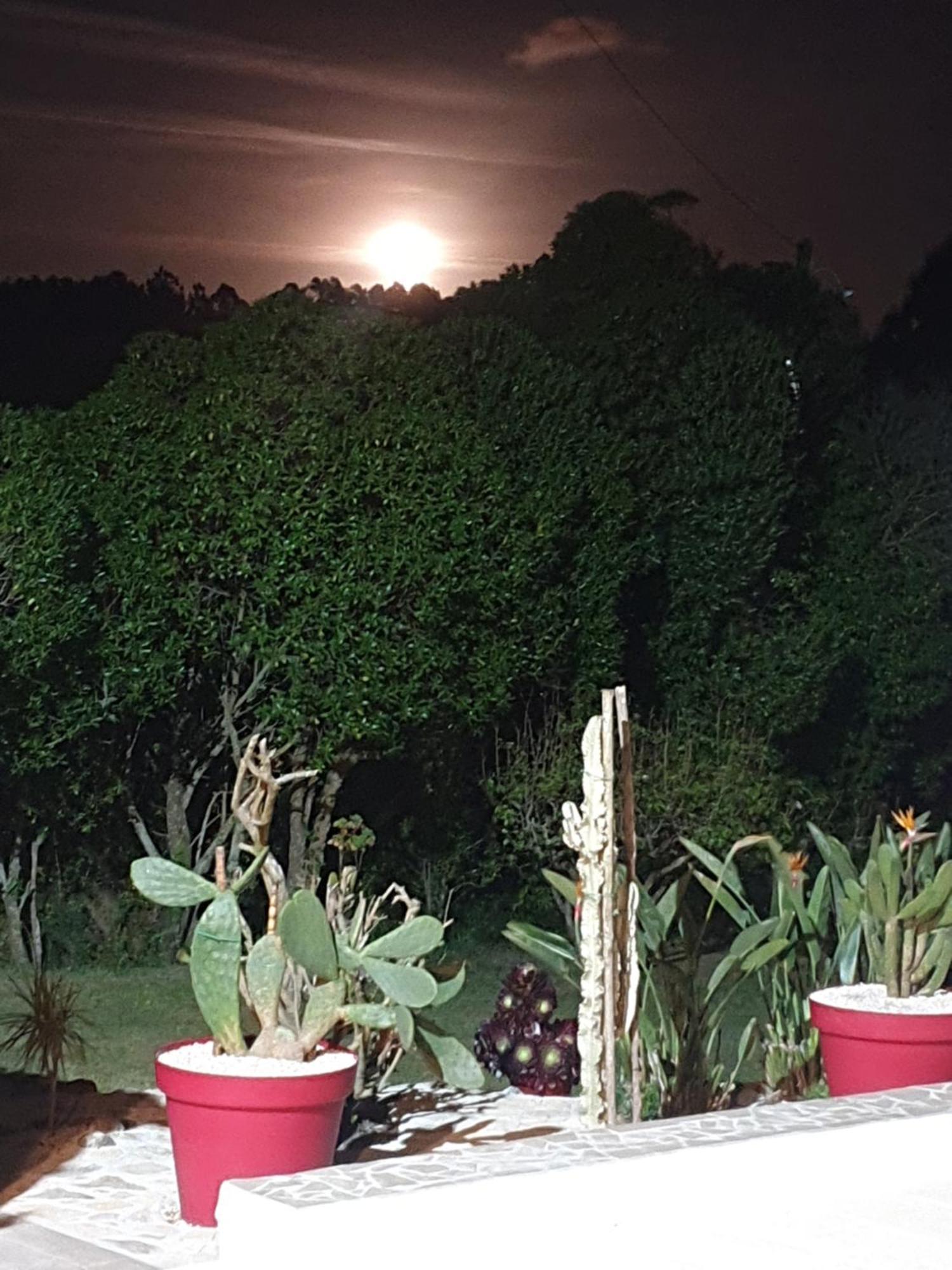Sondela Self Catering Villa São Martinho do Porto Eksteriør billede
