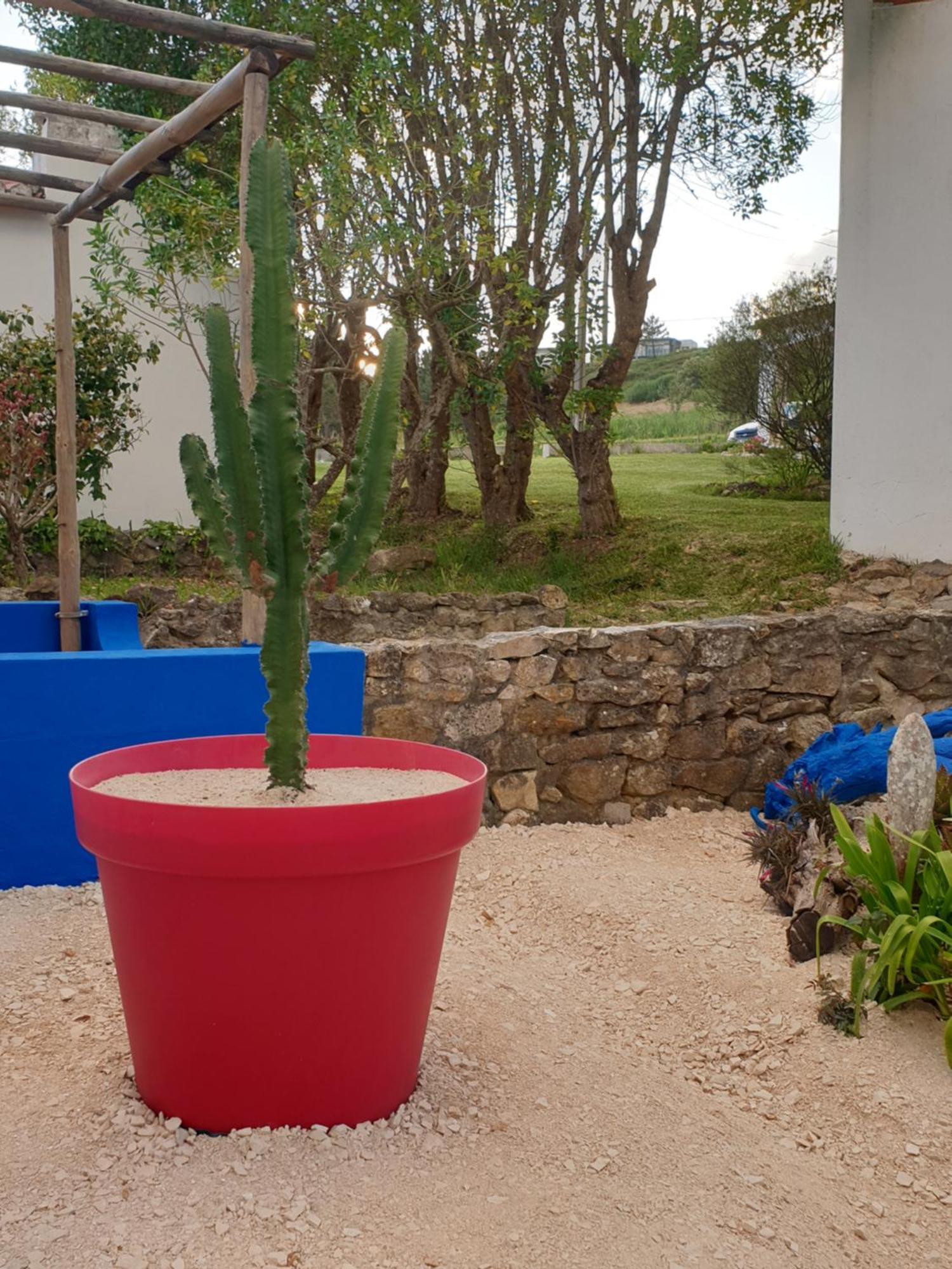 Sondela Self Catering Villa São Martinho do Porto Eksteriør billede